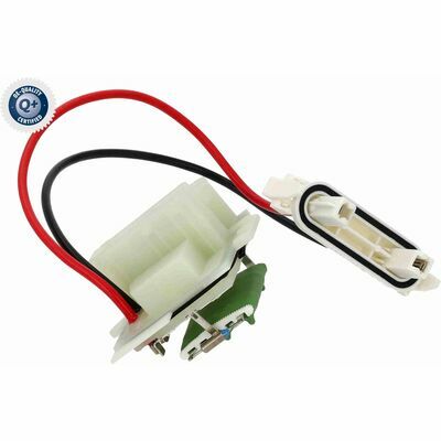 Q+,  Première Monte