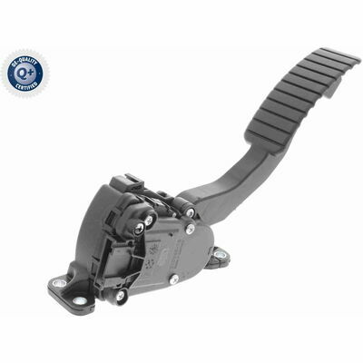 Q+ qualità di primo fornitore