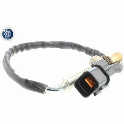 Q+,  Première Monte