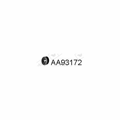 AA93172