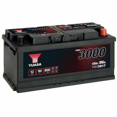 YBX3000 SMF Batteries