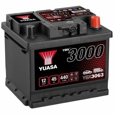 YBX3000 SMF Batteries