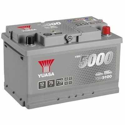 YBX5000 Silver High Performance SMF Batteries