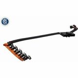 Q+, calidad de primer equipo