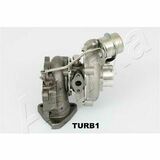 TURB1