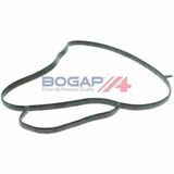 BOGAP A+