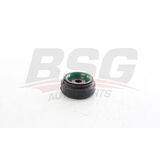 BSG 11-700-018