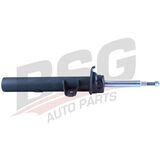BSG 15-300-016