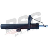 BSG 70-300-004