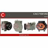 CAC71041AS