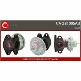 CVG81005AS