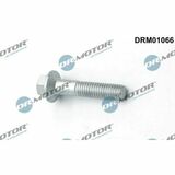 DRM01066