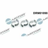 DRM01098