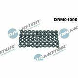 DRM01099