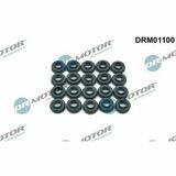 DRM01100