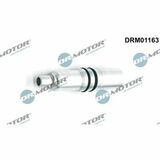 DRM01163