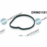 DRM01181