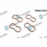 DRM01253S