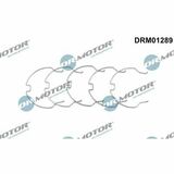 DRM01289