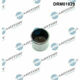 DRM01829