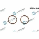 DRM0259S