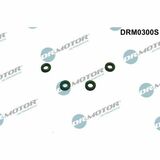 DRM0300S