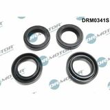 DRM0341S