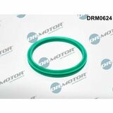 DRM0624