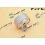 DRM131003