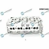 DRM13406