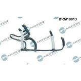 DRM18013
