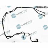 DRM18509