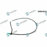 DRM18533