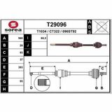 T29096