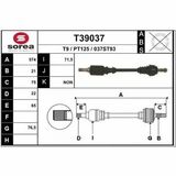 T39037