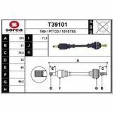 T39101