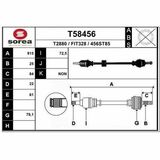 T58456