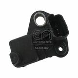 EFI - SENSOR