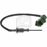 EFI - SENSOR