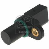 EFI - SENSOR