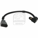 EFI - SENSOR