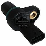 EFI - SENSOR