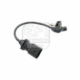 EFI - SENSOR