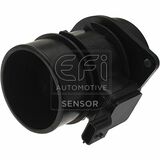 EFI - SENSOR