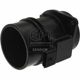 EFI - SENSOR