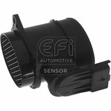 EFI - SENSOR