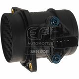 EFI - SENSOR