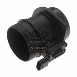 EFI - SENSOR