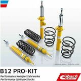 Eibach B12 Pro-Kit