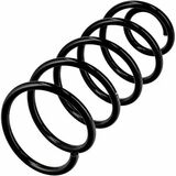 Muelle ERL suelto (OE-sustitucin en serie)